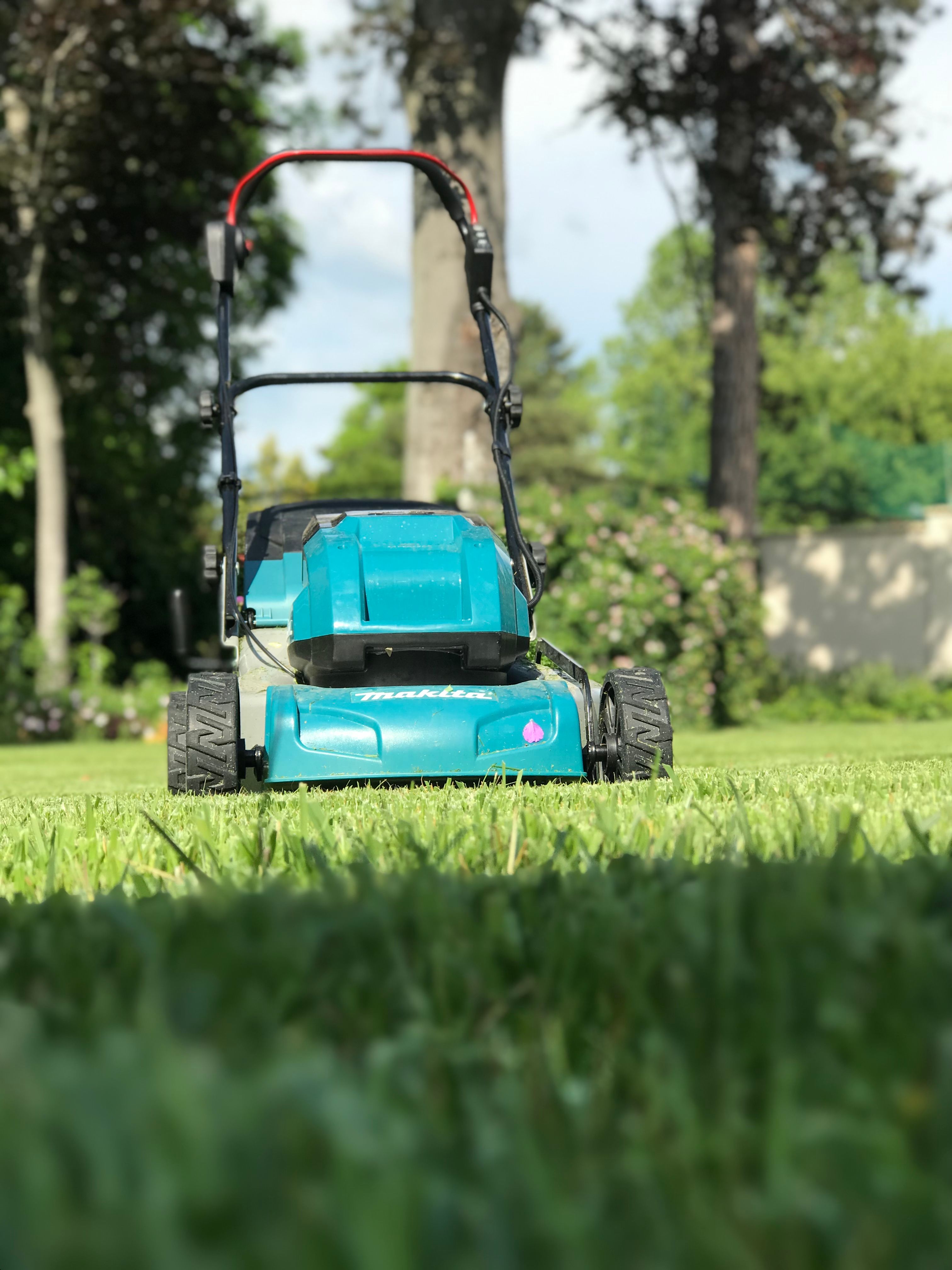 Freshly mowed striped lawn