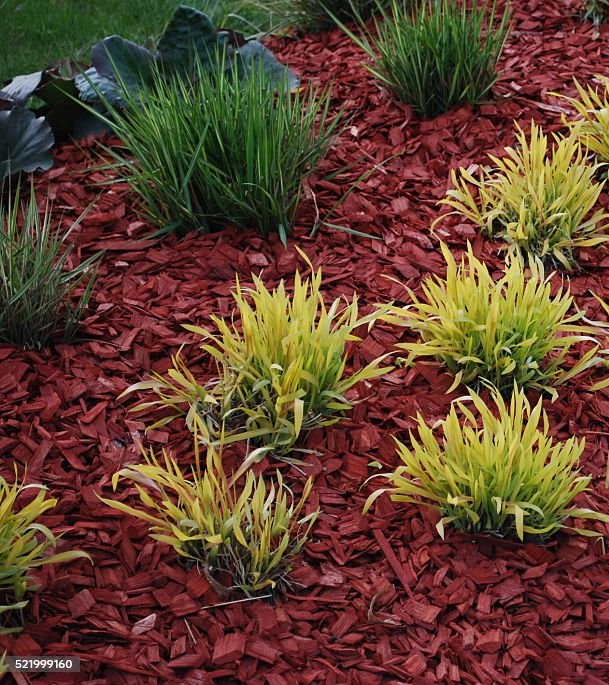 Fresh mulch spread around garden beds